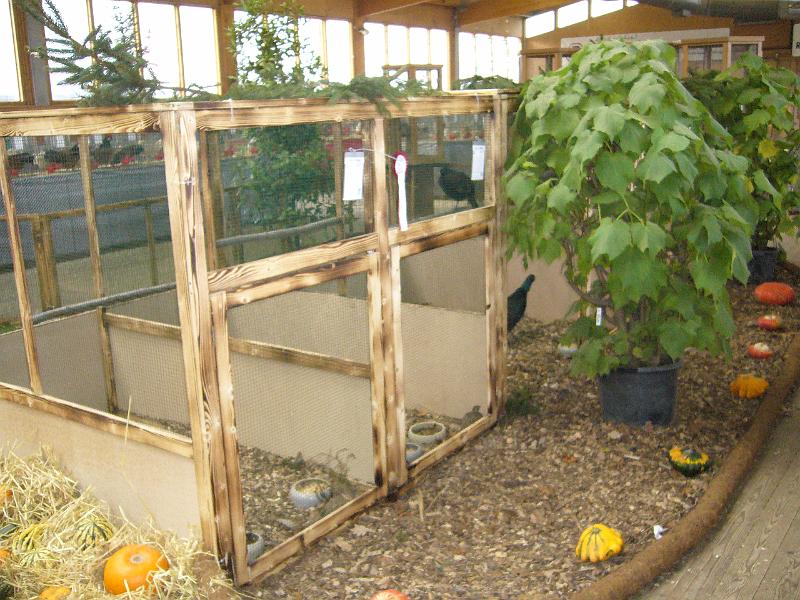 Kreisschau Coesfeld 2008 210.jpg - Schauimpressionen der Kreisschau Coesfeld 2008